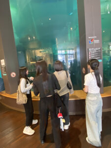 博多湾クルージングでリフレッシュ🚢