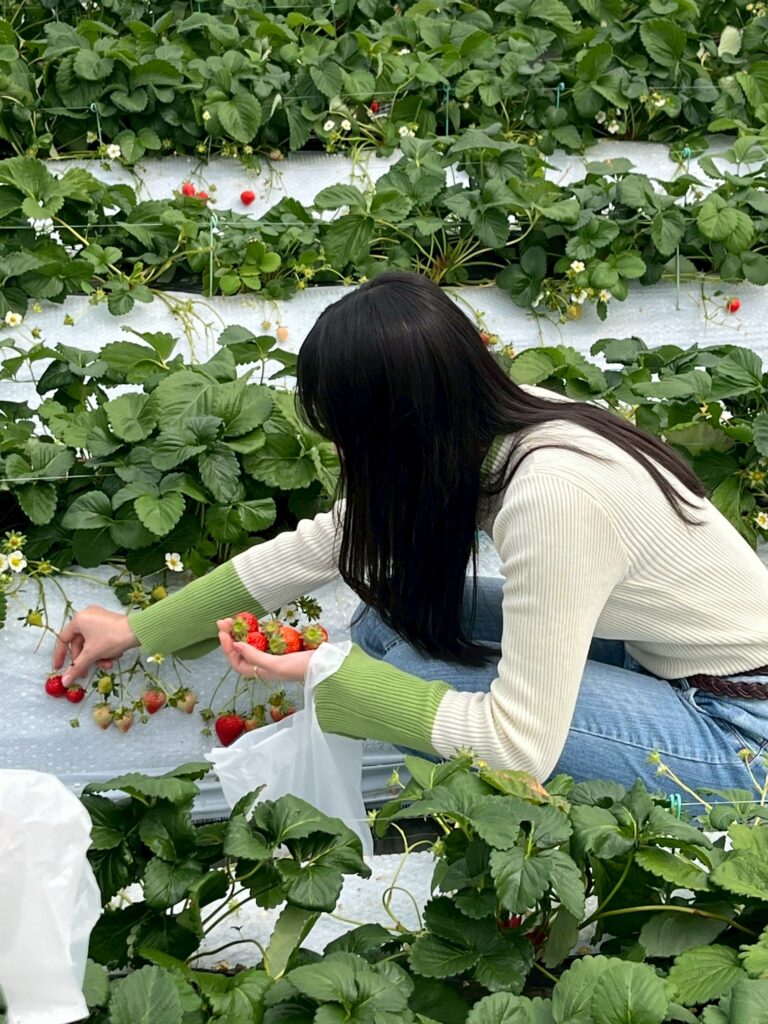 ≪一ツ葉高校熊本キャンパス≫卒業生インタビュー！ vol.1