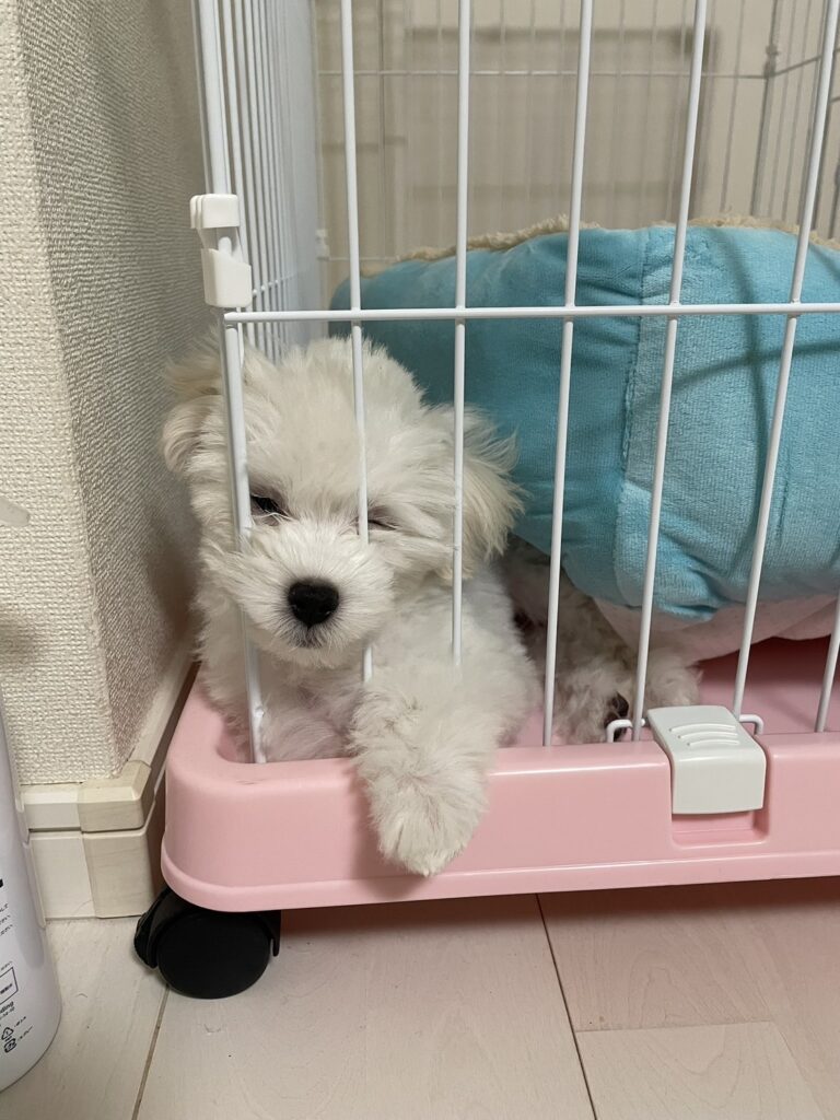 ≪一ツ葉高校熊本キャンパス≫卒業生インタビュー！vol.2