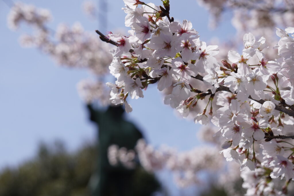 ≪一ツ葉高校熊本キャンパス≫卒業生インタビュー！vol.4