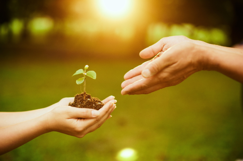 【熊本 通信制高校】公立後期入試の結果を受けて、進路に迷う保護者の方へ