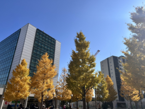 【一ツ葉 横浜 通信制高校】サンリオピューロランド遠足に行ってきました！