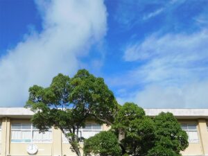 （リライト＆追加情報OK）一ツ葉のサポートで夢も学びも諦めない！通信制高校の勧め！